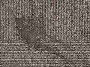 Reoccurring carpet stains a → Bay Shore Cleaning Restoration Bay Shore Cleaning & Restoration